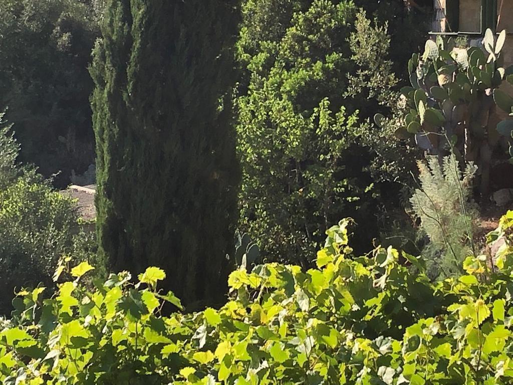Vistalago Garden Doria Monteleone Rocca Doria Buitenkant foto