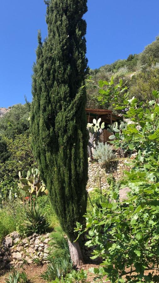 Vistalago Garden Doria Monteleone Rocca Doria Buitenkant foto