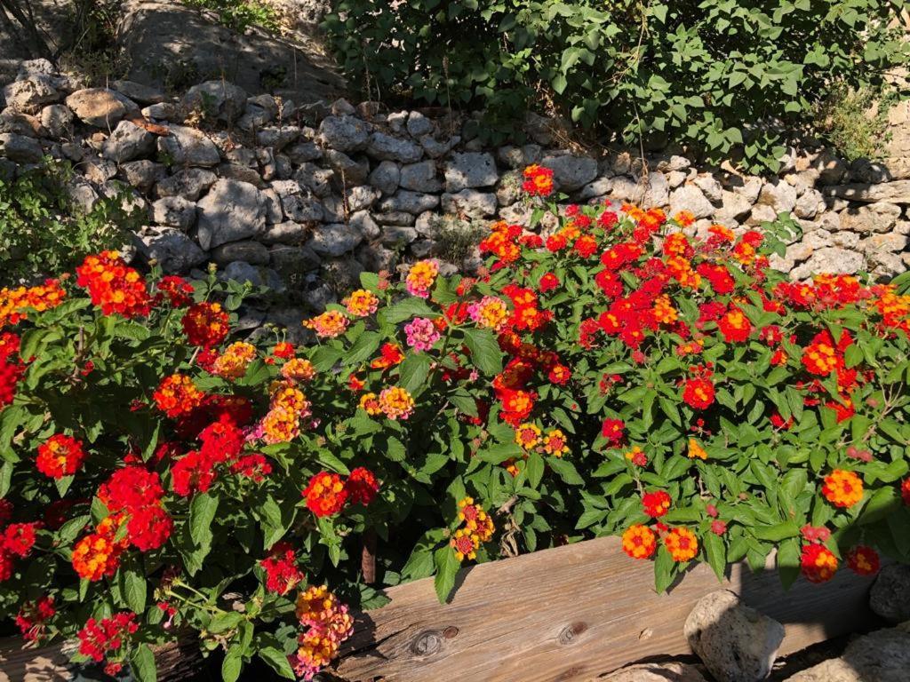 Vistalago Garden Doria Monteleone Rocca Doria Buitenkant foto